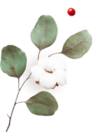 https://gracia-bella.click/wp-content/uploads/2020/10/floating_image_06.png